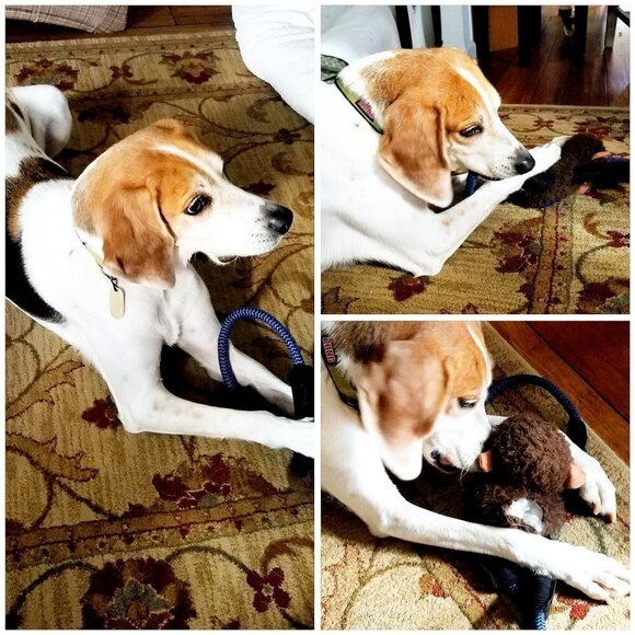 ❣ Meet your Posher, Rosecentric ❣ - Picture 4 of 6